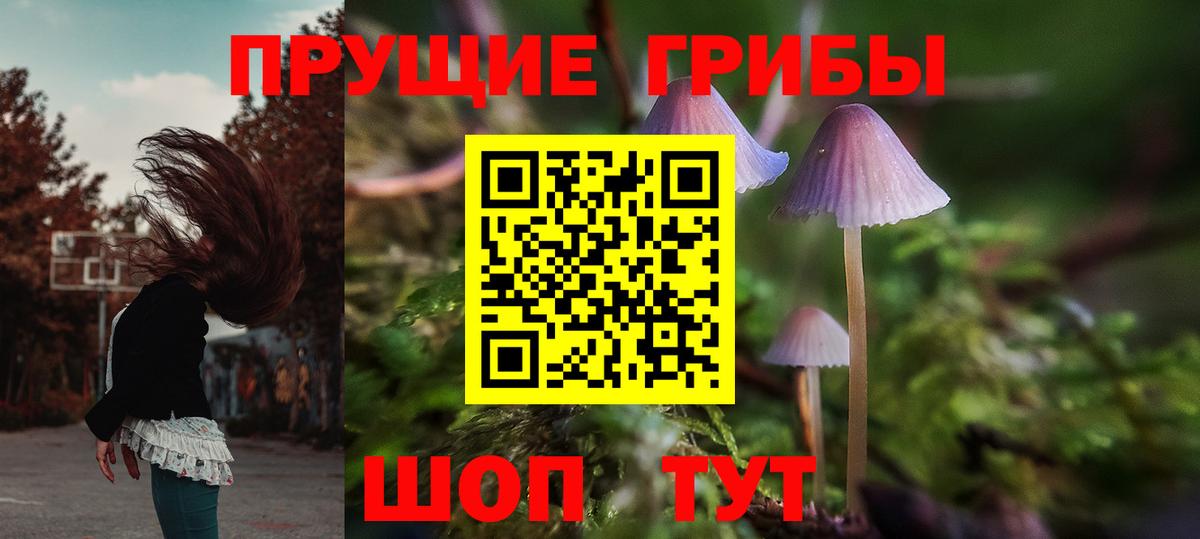 Псилоцибиновые грибы Cubensis Тамбов